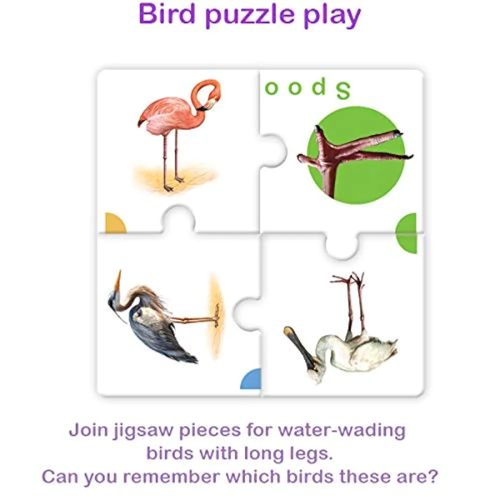 TOYKRAFTT Puzzles for Kids for Age 5-7, Educational Toys, Bird Puzzle, 4 Piece Puzzles for Kids Animal Puzzle - Birds Watch