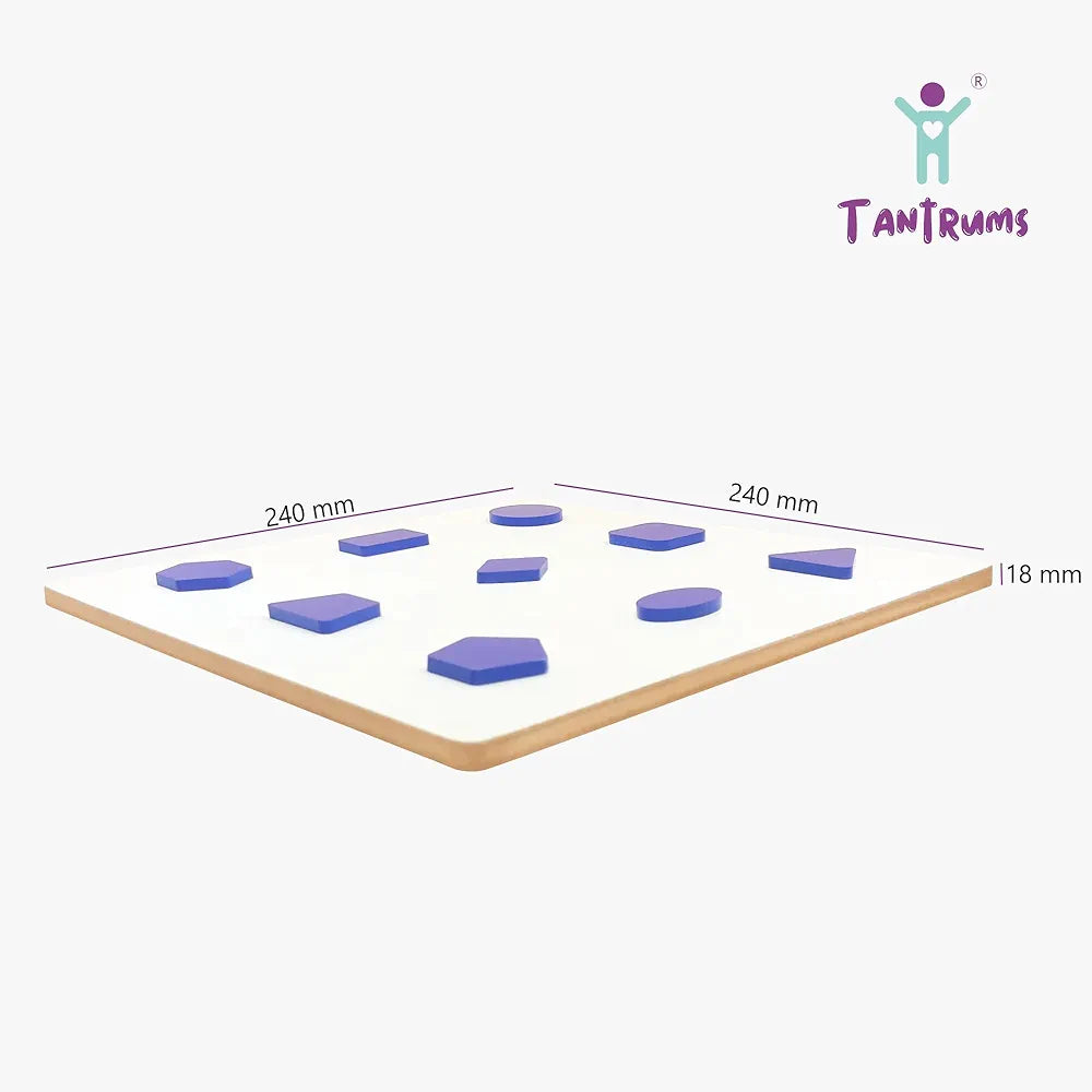 Tantrums Multicolor Educational Geo Shape in Circle Puzzle Logic Game for Leaning | Early Childhood Development Learning Toys for Fine Motor Skills