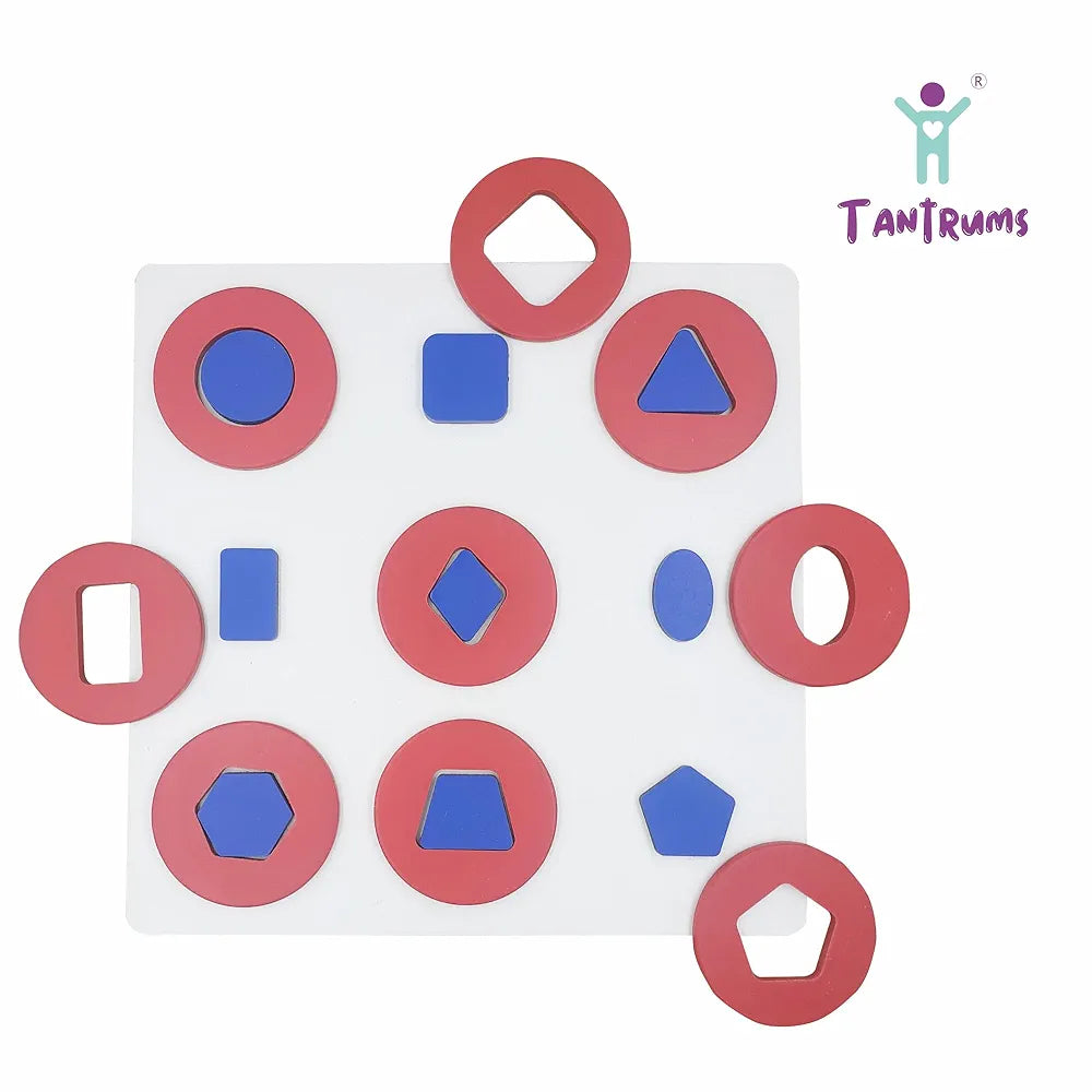 Tantrums Multicolor Educational Geo Shape in Circle Puzzle Logic Game for Leaning | Early Childhood Development Learning Toys for Fine Motor Skills