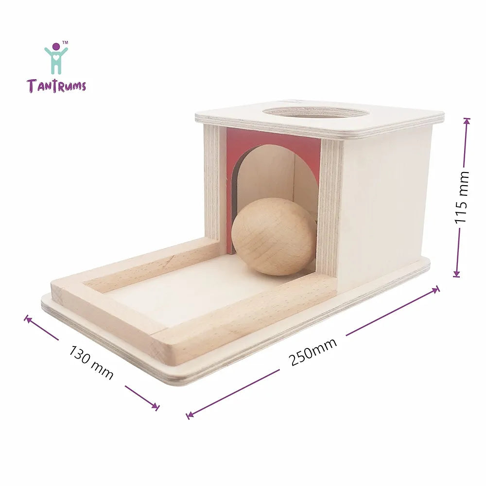 Tantrums Montessori Object Permanence Box with Tray and Ball Montessori Toys for Infant 6-12 Month 1 Year Old Toddlers | Early Childhood Development Learning Toys for Motor Skill Development