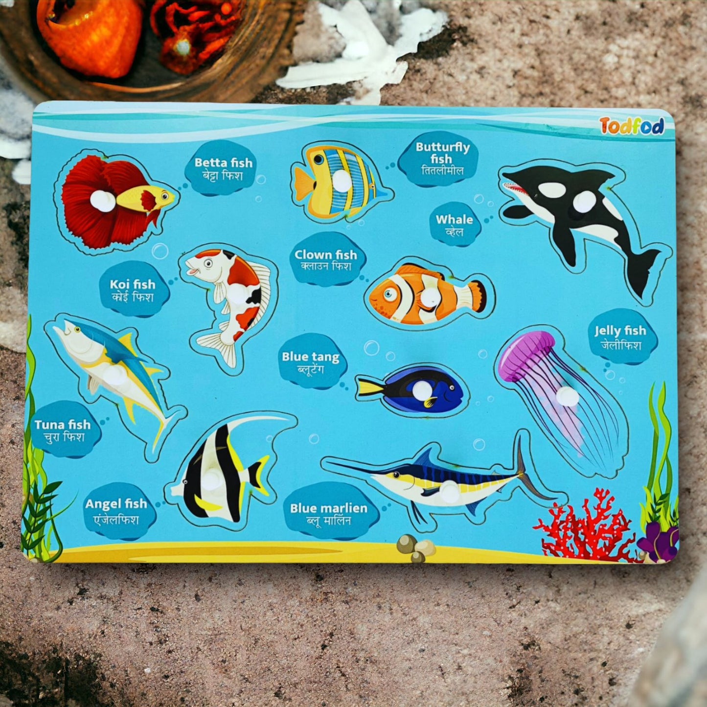 Wild Animals & Fish Puzzle