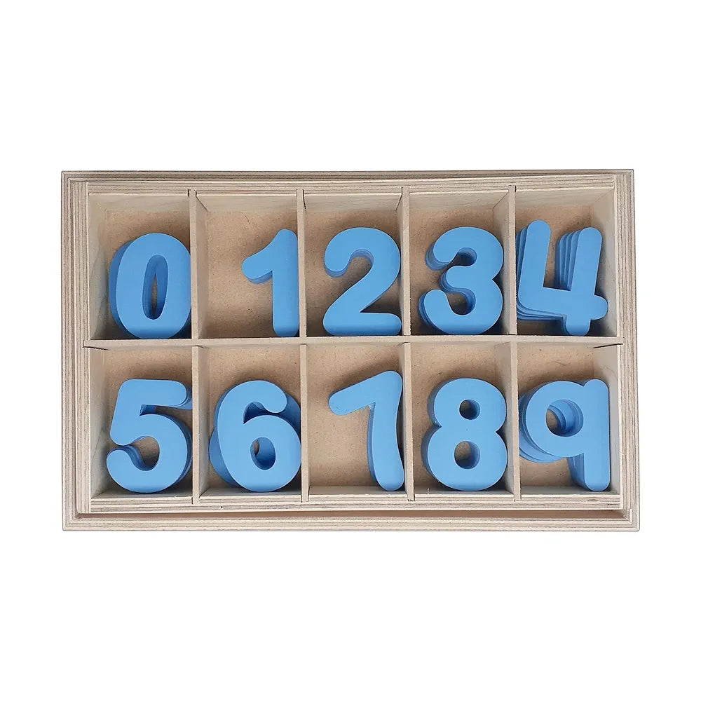 Tantrums Wooden Counting Movable Numbers for Kids | Develop Children's Independence and Sense of Order I Montessori Early Educational Pre School Toys for 3+ Years Kid