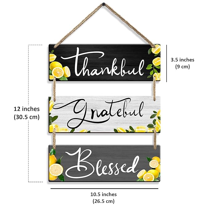 Sehaz Artworks Wall Hangings Home Decor Items Wall Decor for Living Room -3-0023