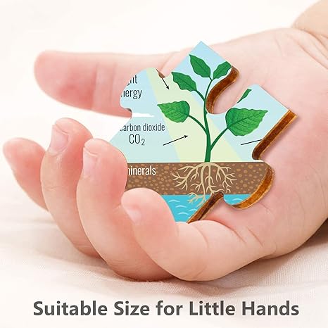 Webby Photosynthesis Wooden Jigsaw Puzzle 40Pcs