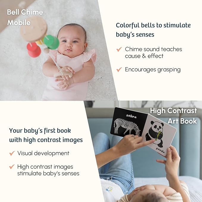 Curious Cub Montessori Learning Wooden Toys Box | Box 2 | Improve & Develop Language Memory Skills