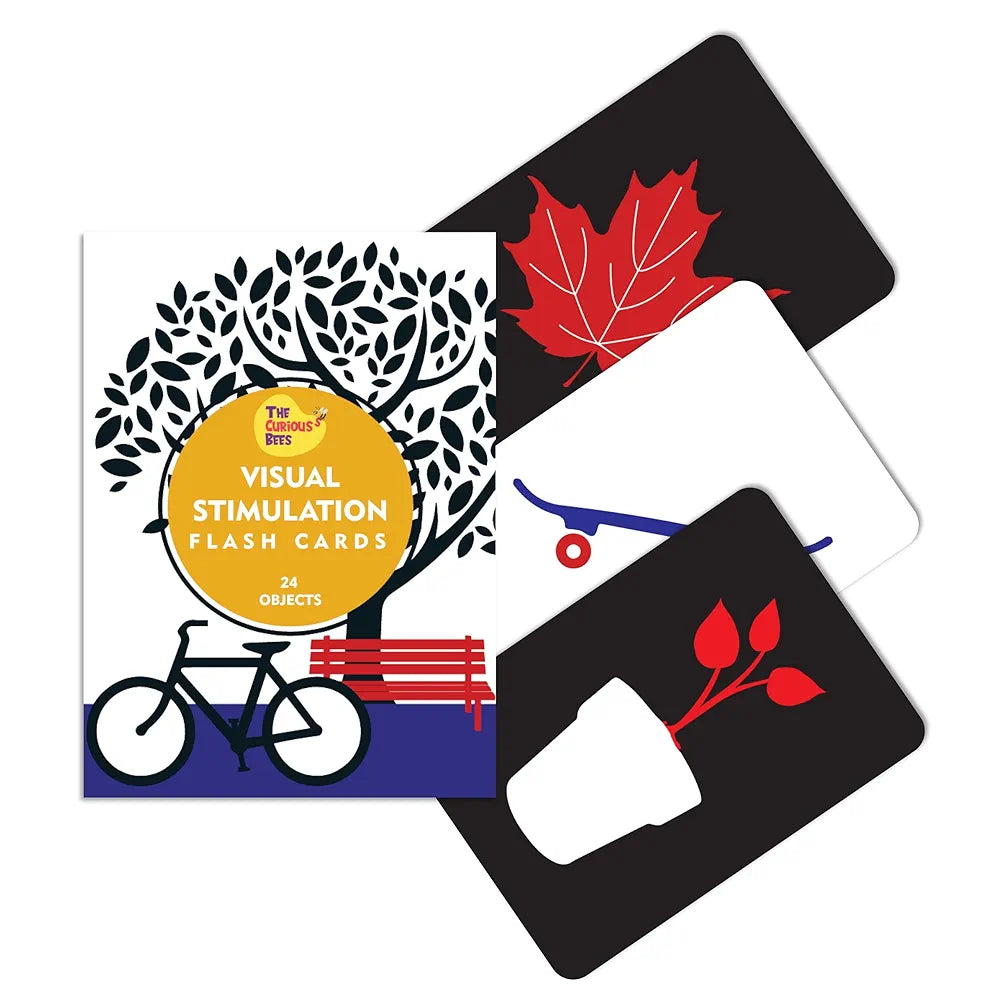 The Curious Bees - Visual Stimulation New Born Anti-Glare Cards | 24 Objects for Visual Colour Stimulation, Cognitive & Sensory Development of 6-12 Month Old Kids