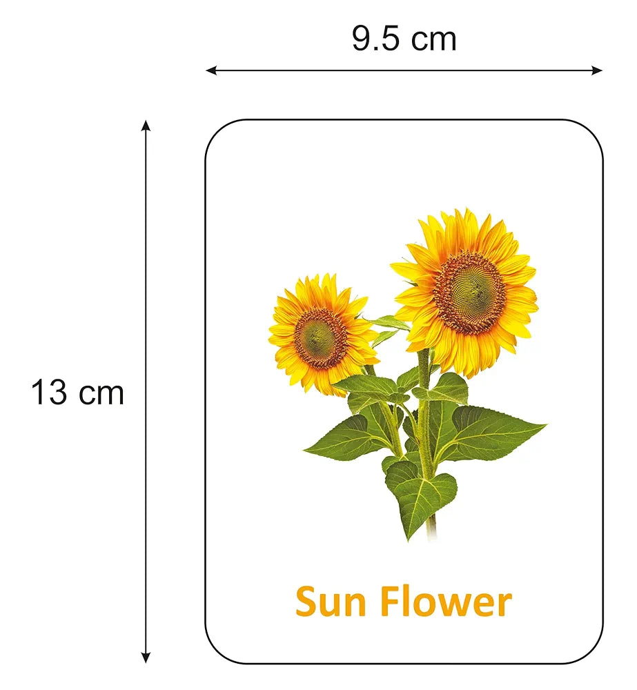 Gurukanth® Premium Flowers Flash Cards for Kids Early Learning | Easy & Fun Way of Learning 1 Year to 6 Years Babies Smart Toys