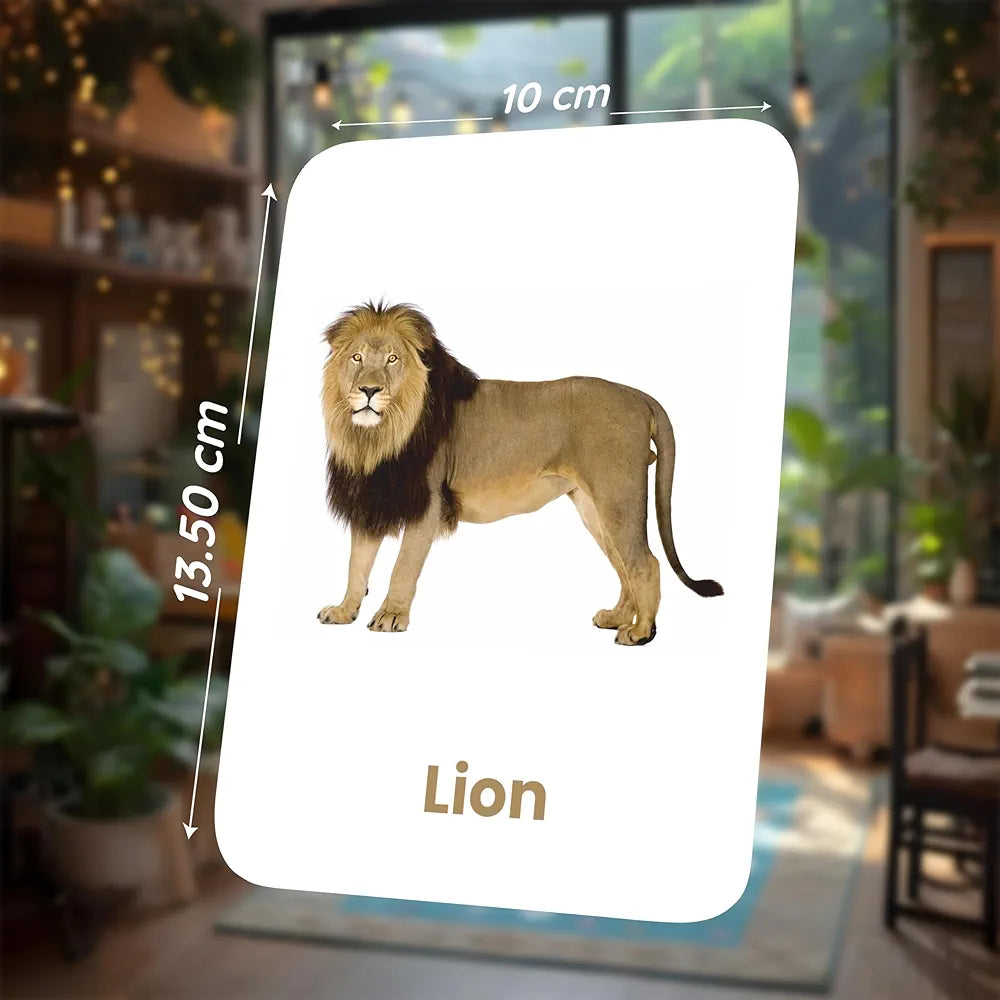 SPARTAN KIDS Animal Flash Cards for Kids | 27 Early Learning Flash Cards for Kids, for Cognitive_Skills