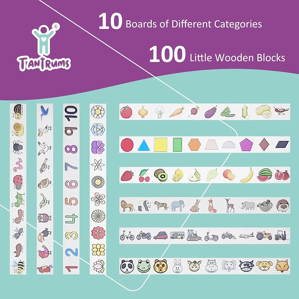 Tantrums Wooden Sorting Box for Sorting Activity | Educational Object Recognation Block Toy for Pre-School Kindergarten Skill Development Toy I Multicolour Object Identification for Toddlers Toy