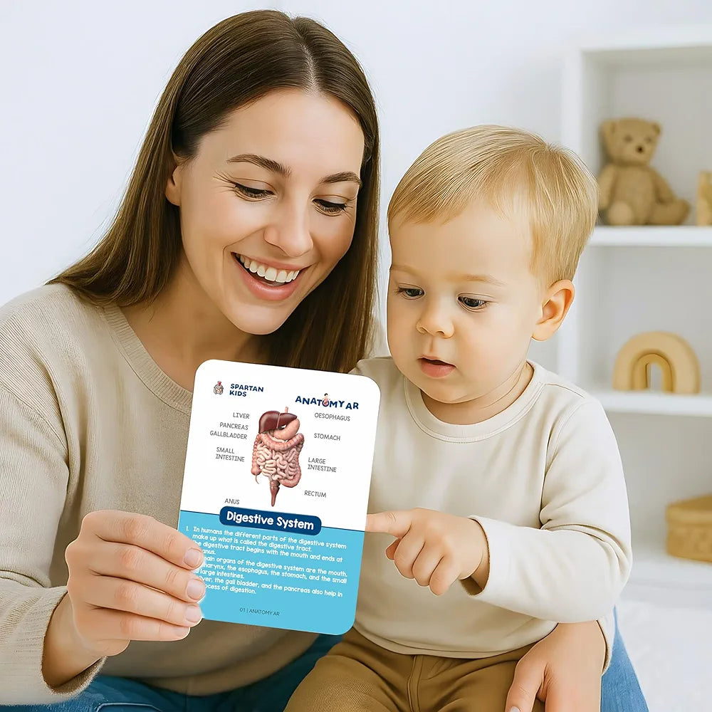SPARTAN KIDS® Human Organs Flash Cards | Early Learning 4D Technology Flash Cards for Kids | 27 Augmented Reality Cards for Kids 3+ Years