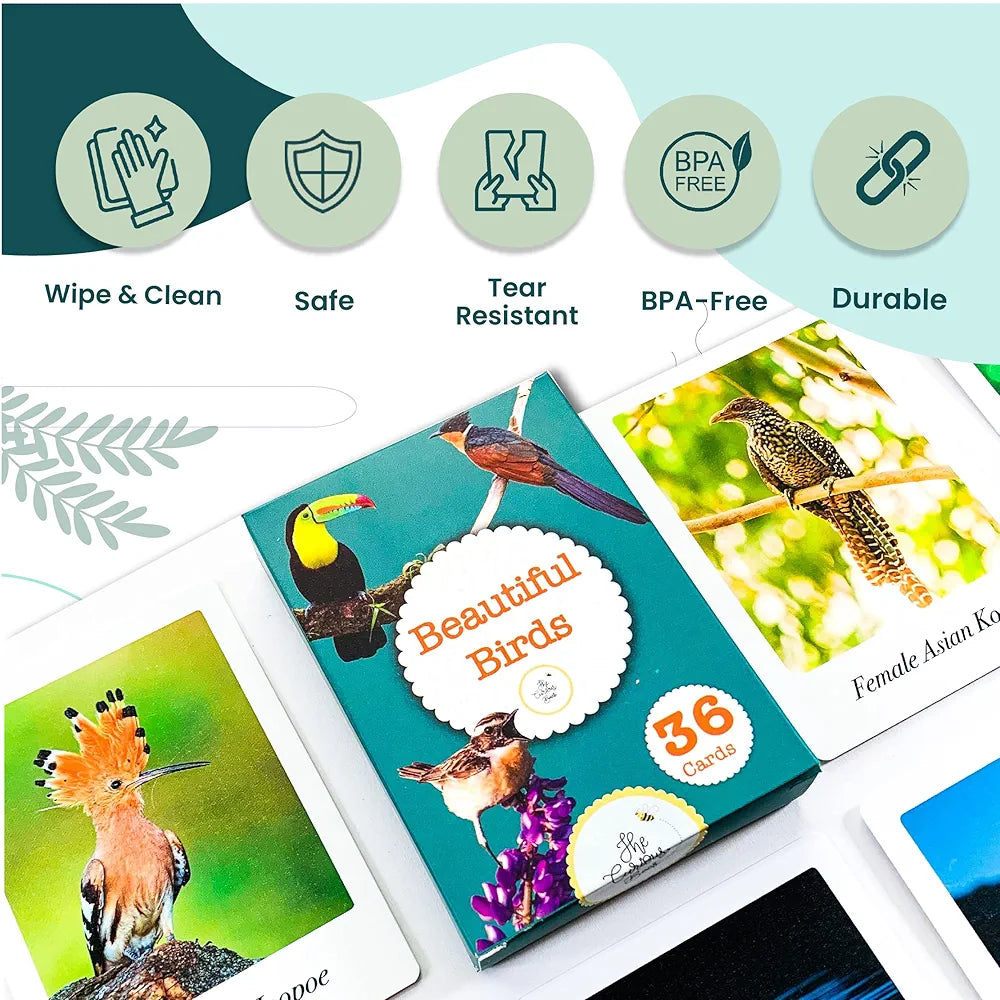 The Curious Bees - Beautiful Birds Flash Cards | 36 Laminated Cards for Kids | Age Group: 2-4 Years | Ideal for Early Learning at Home, Pre School and as a Fun Education Activity