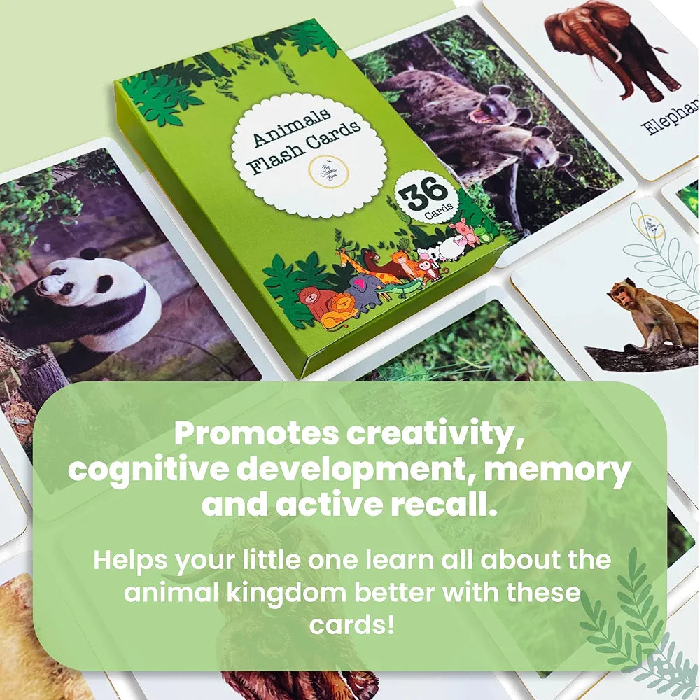 The Curious Bees - Animals Flash Cards | 36 Laminated Cards for Kids | Age Group: 1-4 Years | Fun Early Educating Activity for Kids