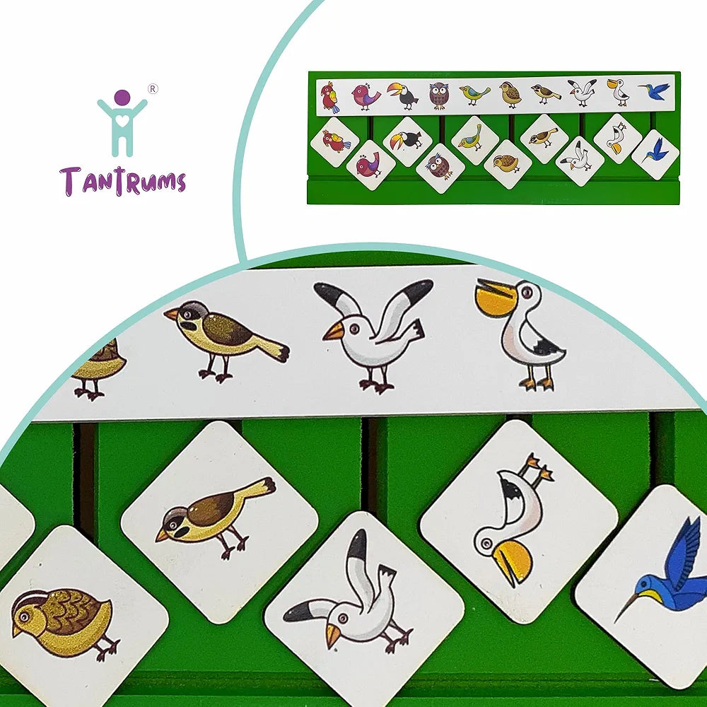 Tantrums Wooden Sorting Box for Sorting Activity | Educational Object Recognation Block Toy for Pre-School Kindergarten Skill Development Toy I Multicolour Object Identification for Toddlers Toy
