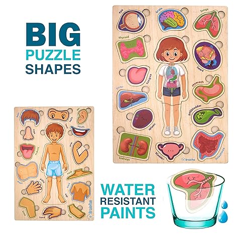 Zudo Wooden Montessori Educational Pre School Puzzle Board Toy for Boys and Girls Wooden Body Parts