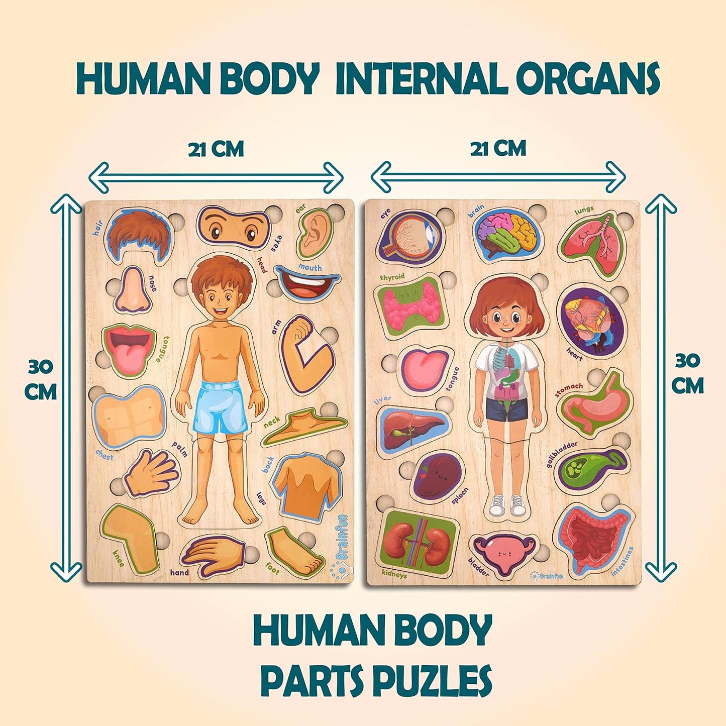 Zudo Wooden Montessori Educational Pre School Puzzle Board Toy for Boys and Girls Wooden Body Parts