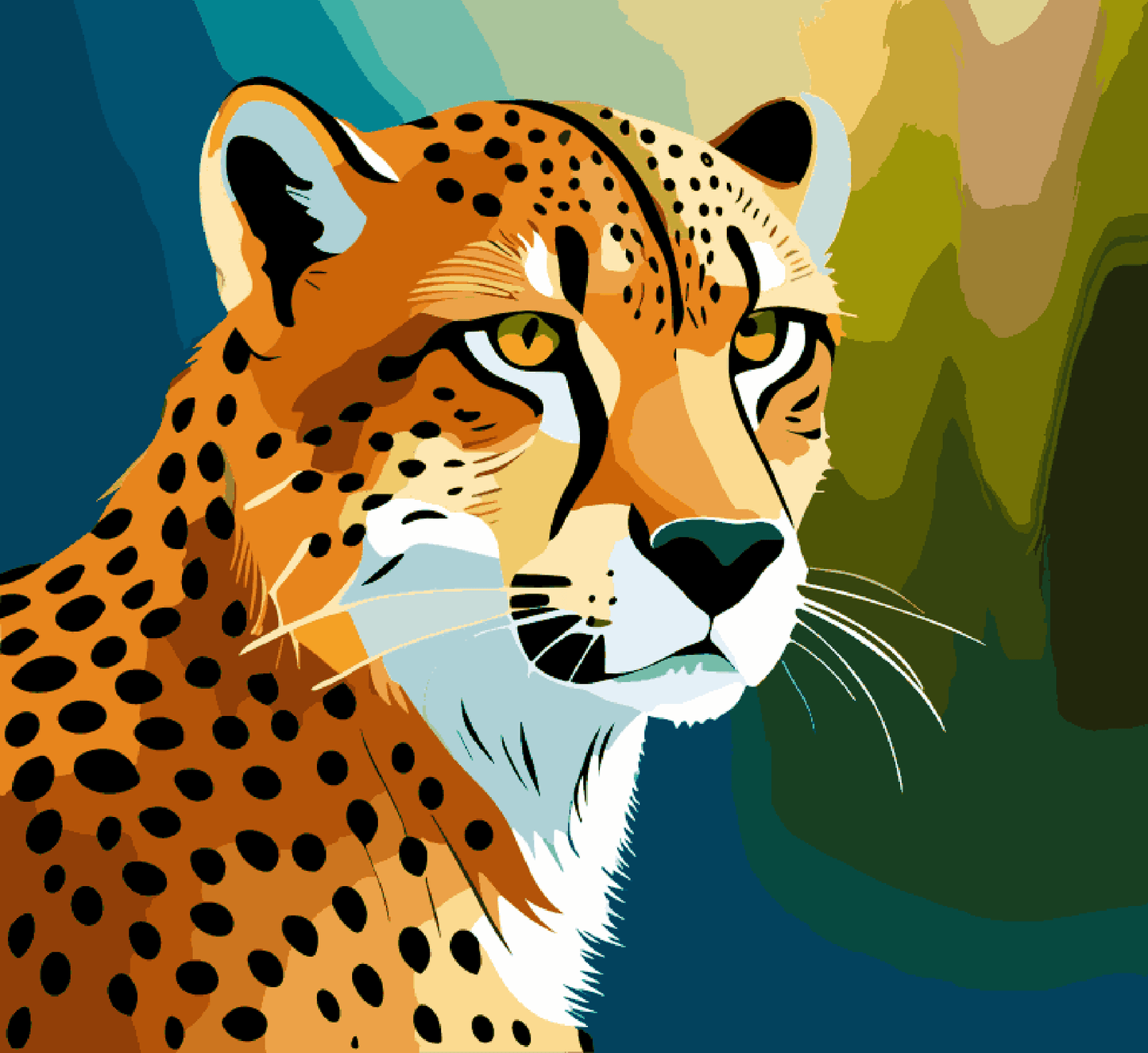 Cheetah staring