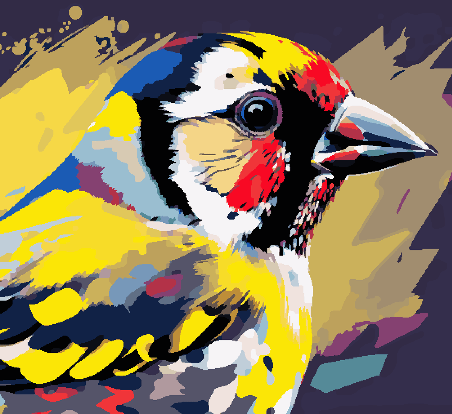 Colourful Sparrow