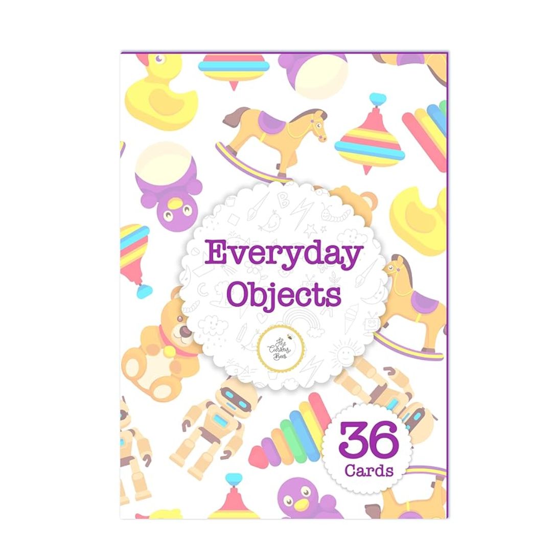The Curious Bees Everyday Objects 36 Laminated Anti-Glare Cards