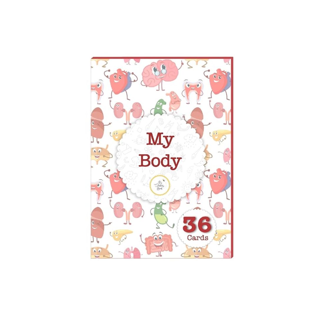 The Curious Bees My Body Flash Cards 36 Laminated Cards for Kids
