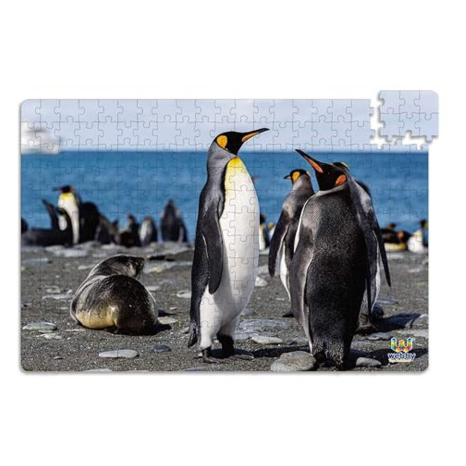 Webby Penguins On Seashore Jigsaw Puzzle 252 Pieces
