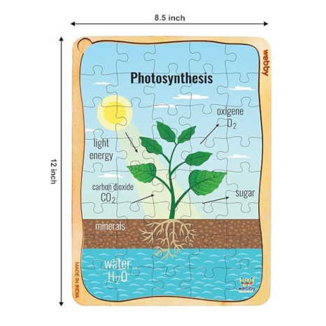 Webby Photosynthesis Wooden Jigsaw Puzzle 40Pcs