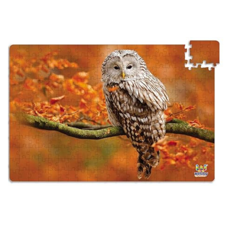 Webby Owl in Autumn Jigsaw Puzzle 252 Pieces Multicolor