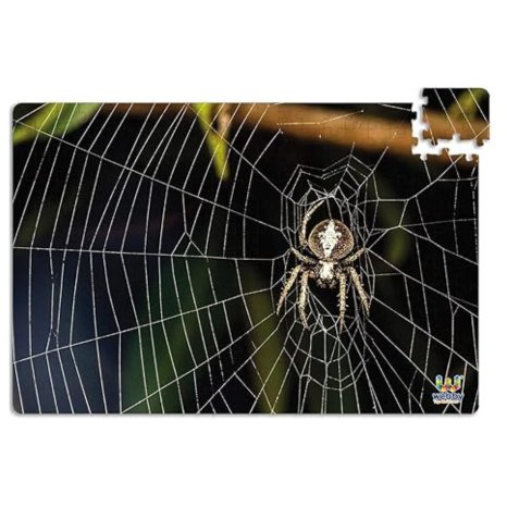 Webby Kid The Spider On The Web Jigsaw Puzzle, 252 Pieces