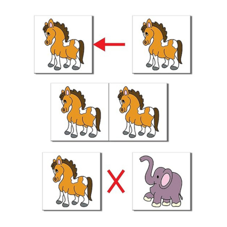 Frank Pairs A Memory Game 48 Cards Early Learner Matching Picture Card Toys and Games - 10331