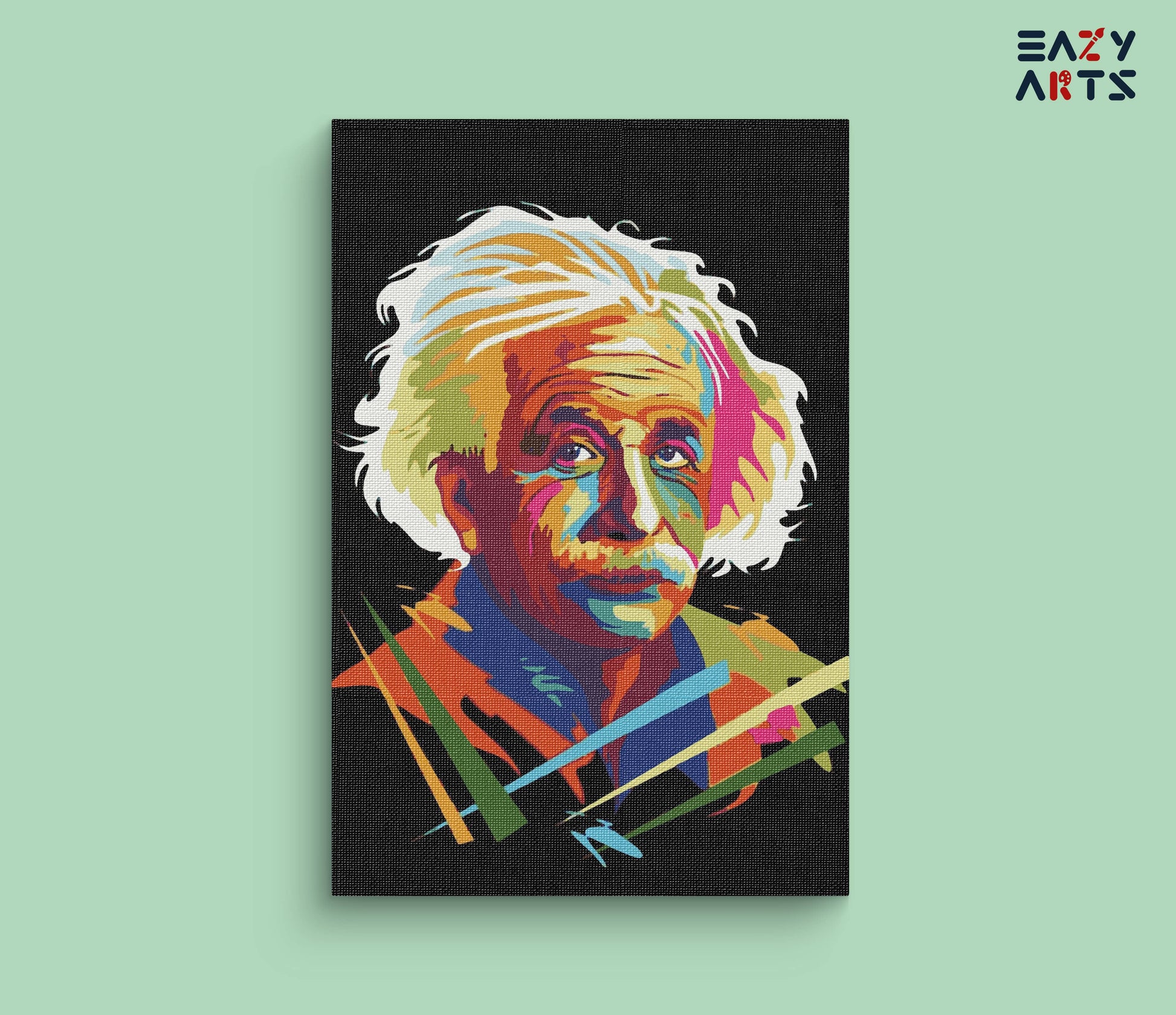 Albert Einstein Colorful Paint By Numbers kit
