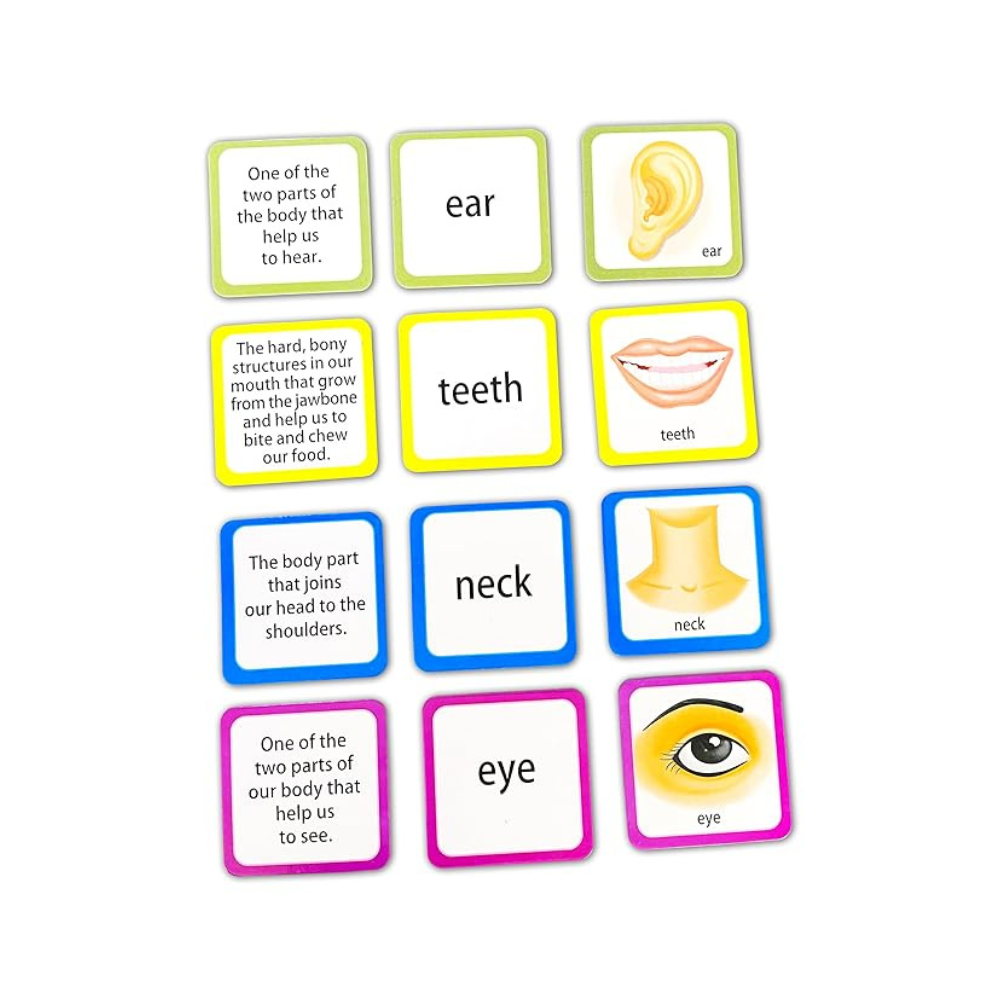 Creative's Language Learning Centre-body Parts | Knowledge About Human Body Parts | 7 Ways to Play & Learn | Ages 6 & Up Children