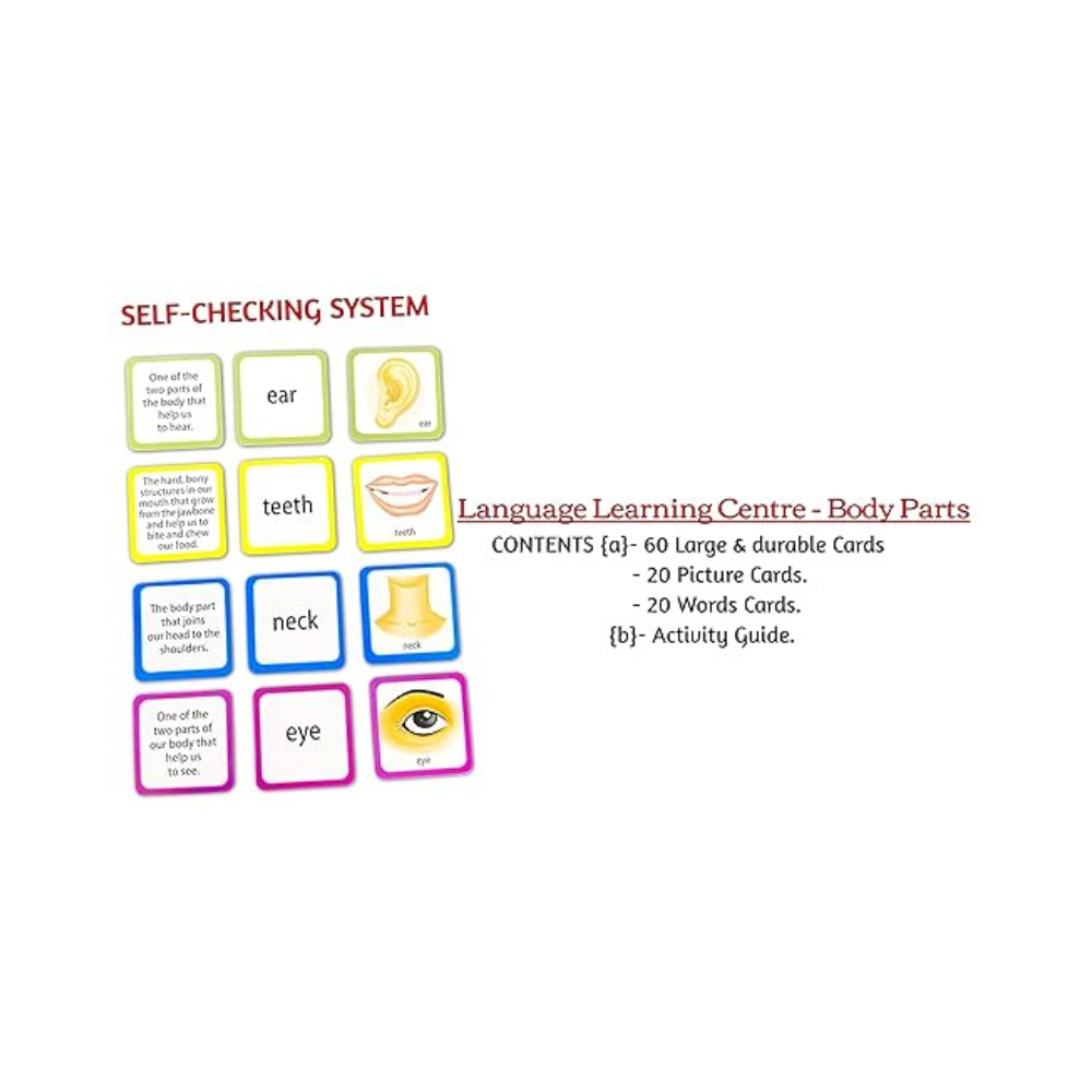 Creative's Language Learning Centre-body Parts | Knowledge About Human Body Parts | 7 Ways to Play & Learn | Ages 6 & Up Children