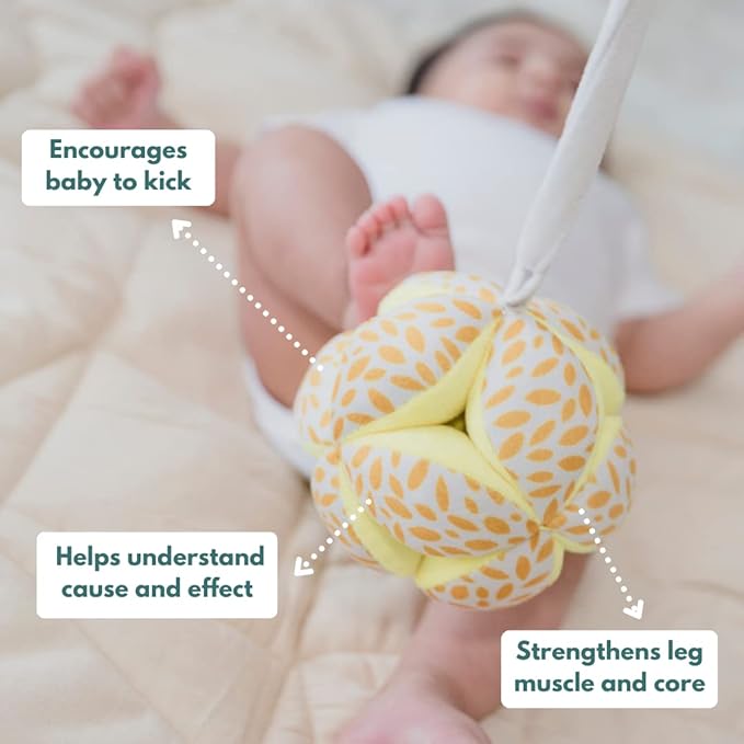 Curious Cub Montessori Learning Wooden Toys