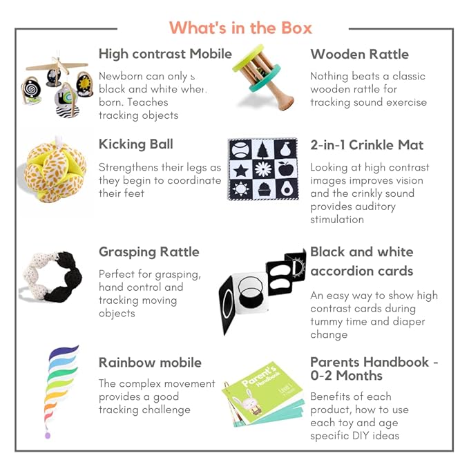 Curious Cub Montessori Learning Wooden Toys