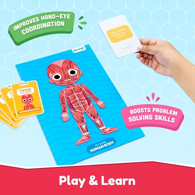 Bloomingo Learning Kit | Super Human Body | Discover the Human Body With Fun Magnetic Puzzles