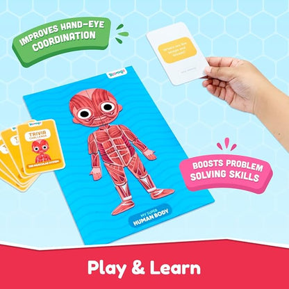 Bloomingo Learning Kit | Super Human Body | Discover the Human Body With Fun Magnetic Puzzles