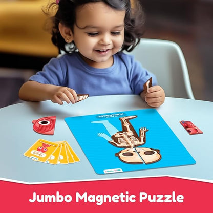 Bloomingo Learning Kit | Super Human Body | Discover the Human Body With Fun Magnetic Puzzles