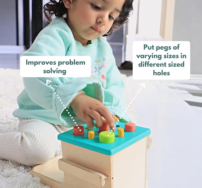 Curious Cub Montessori Learning Wooden Toys | Box 13 | Develop Problem/puzzle Solving | Hand-eye Coordination & Brain Development