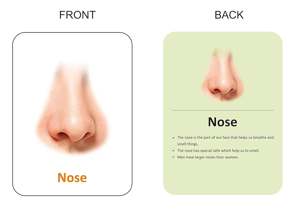 Gurukanth® Premium Parts of The Body Flash Cards for Kids Early Learning | Easy & Fun Way of Learning 1 Year to 6 Years Babies Smart Toys