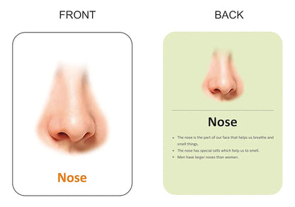 Gurukanth® Premium Parts of The Body Flash Cards for Kids Early Learning | Easy & Fun Way of Learning 1 Year to 6 Years Babies Smart Toys