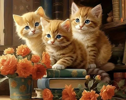 TULIP N TURTLE Puss On Books Diy Acrylic Paint By Number Kit For Kids Beginner Number Painting Kit Diy Canvas Painting By Number Wall Decoration Diy Painting Kit ,Multi-Coloured