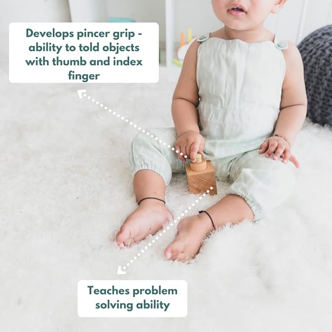 Curious Cub Montessori Learning Wooden Toys Box | Box 5 |improve & Develop Language Memory Skills