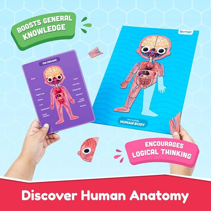 Bloomingo Learning Kit | Super Human Body | Discover the Human Body With Fun Magnetic Puzzles