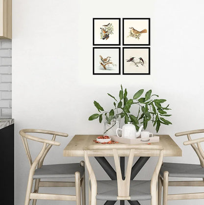 ArtX Paper Birds Wall Art Painting Framed Paintings Set of 4