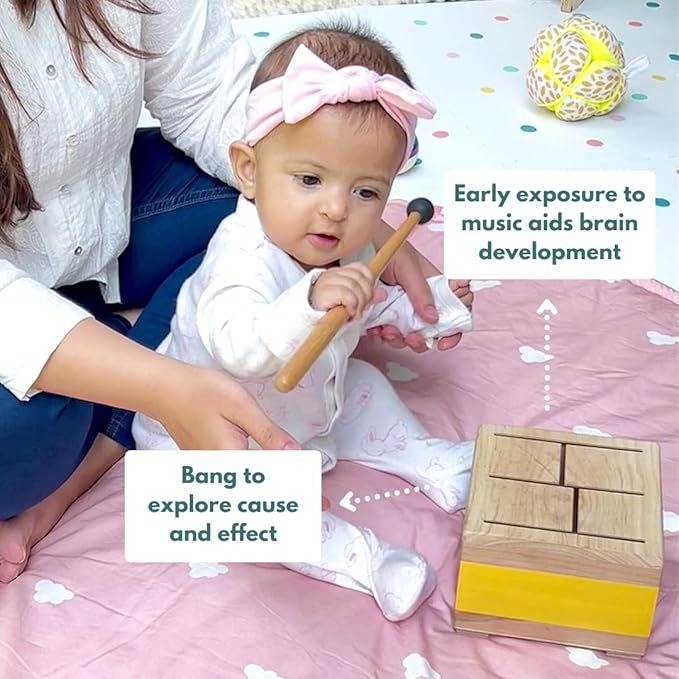 Curious Cub Montessori Learning Blocks Wooden Toys Box | Box 3 | Improve & Develop Language Memory Skills