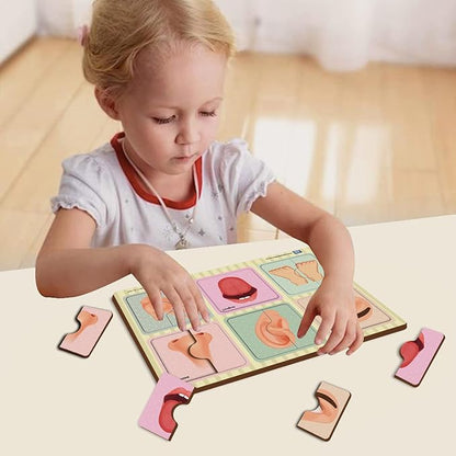 Mini Leaves 2 Piece Wooden Puzzle for Kids Set of 6 | Human Body Parts Jigsaw Puzzle | Educational Toys for Kids