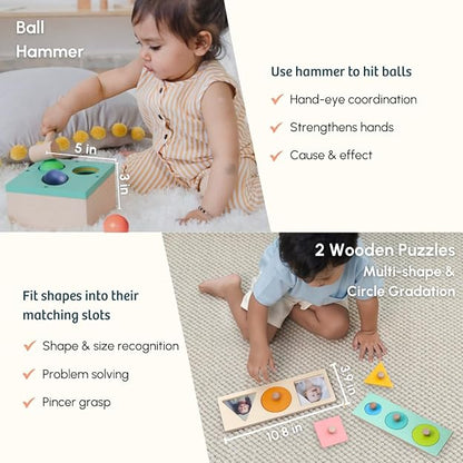 Curious Cub Montessori Learning Wooden Toys | Brain Development Problem/puzzle Solving | Hand-eye Coordination