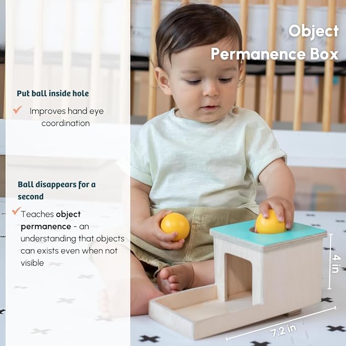 Curious Cub Baby Montessori Learning Wooden Box 4 | Builds Hand-eye Coordination & Language Skills