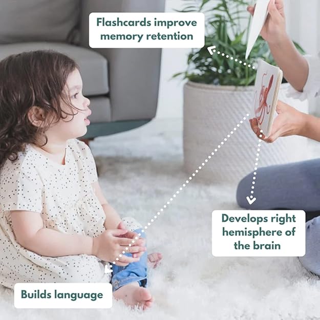 Curious Cub Montessori Learning Wooden Toys | Box 10 Brain Development Problem/puzzle Solving | Hand-eye Coordination