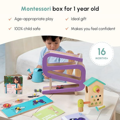 Curious Cub Montessori Learning Wooden Toys | Box 8 | Brain Development Problem/puzzle Solving | Hand-eye Coordination