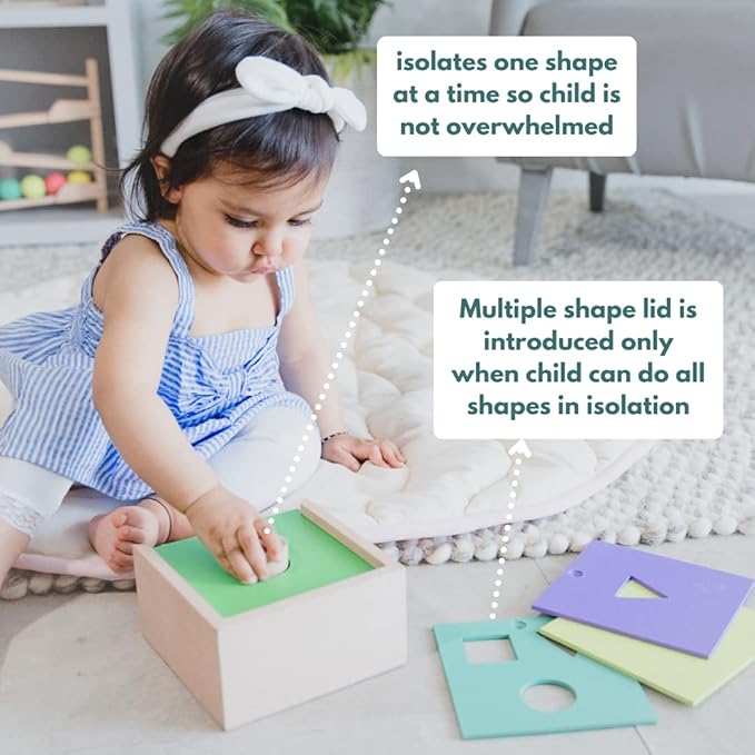 Curious Cub Montessori Learning Wooden Toys Box | Box 5 |improve & Develop Language Memory Skills